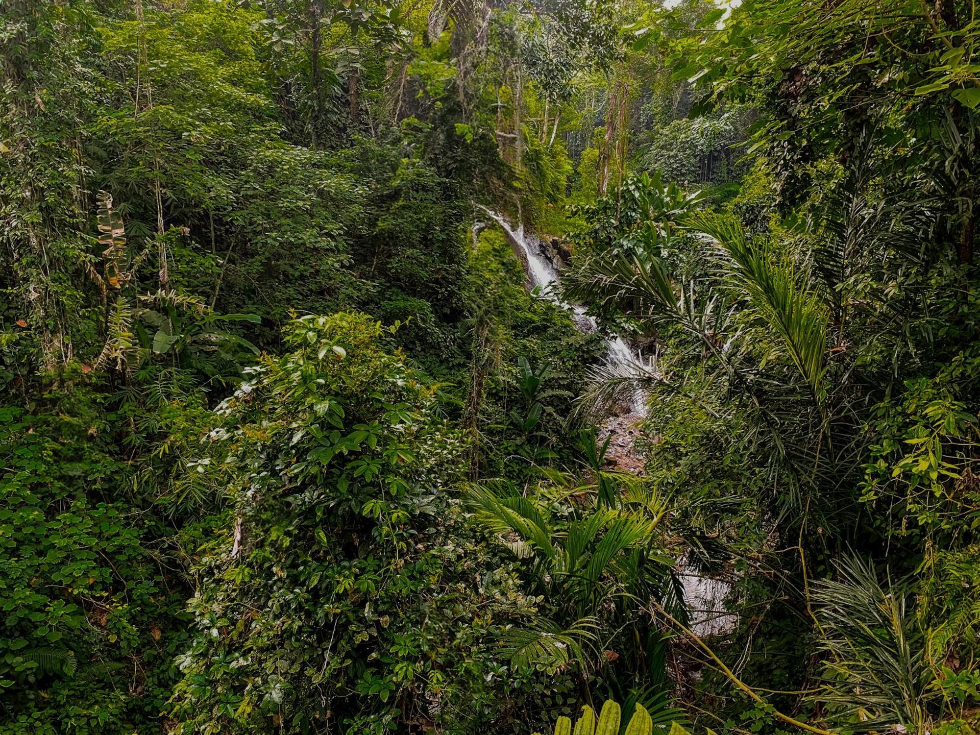 The Sebali Resort Ubud Exterior foto A waterfall in the park